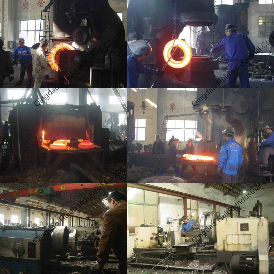 ANSI/DIN/JIS/BS/OEM Forging Stainless Steel Flanges
