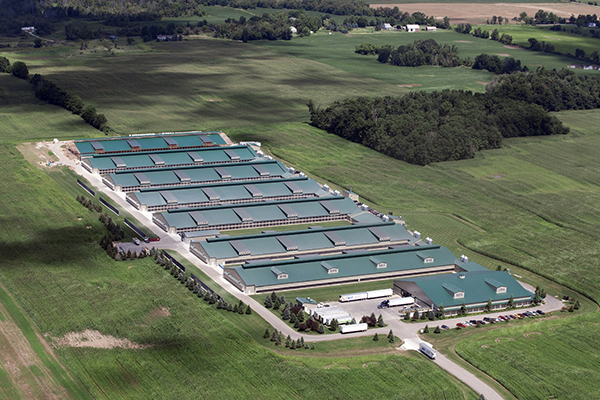 Hainan PeakPilot Innovations Inc.