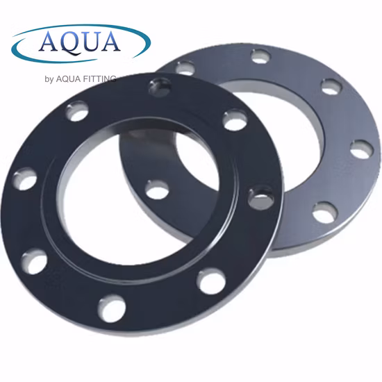 ASME/ANSI/DIN/GOST/BS En 150#-2500 Carbon Steel Plate Flat Face Pipe Flange