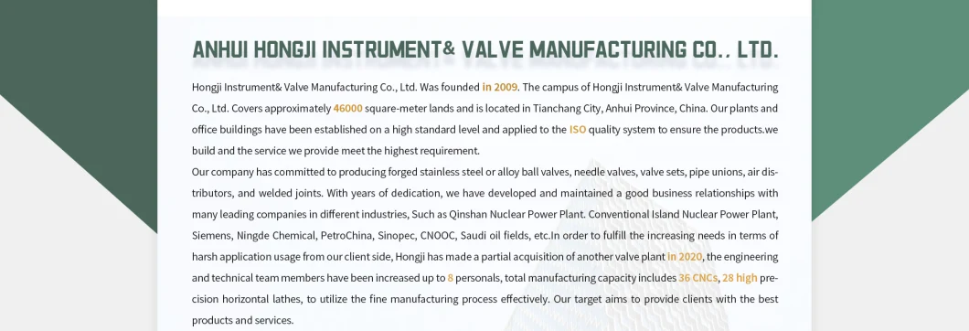 Basic Customization Instrument Manifolds Five Valve Stainless Steel 5-Valve Manifolds 6000psi Coplanar
