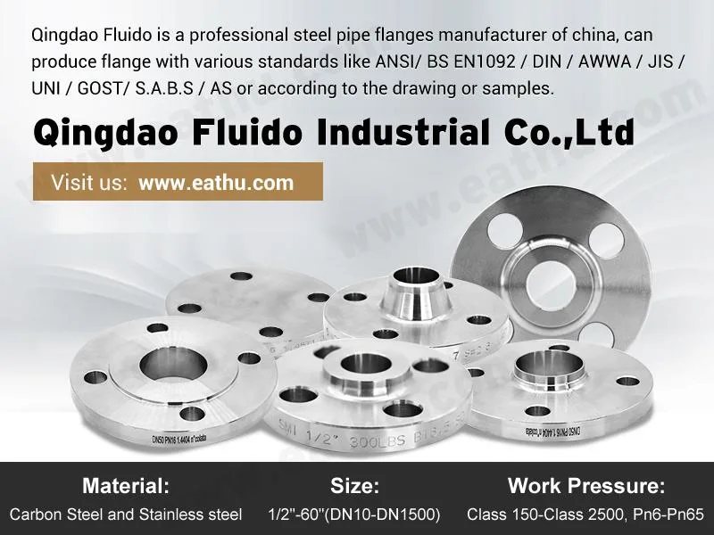ANSI B16.5 150lbs/DIN/BS/En Carbon and Stainless Steel Forging Flanges