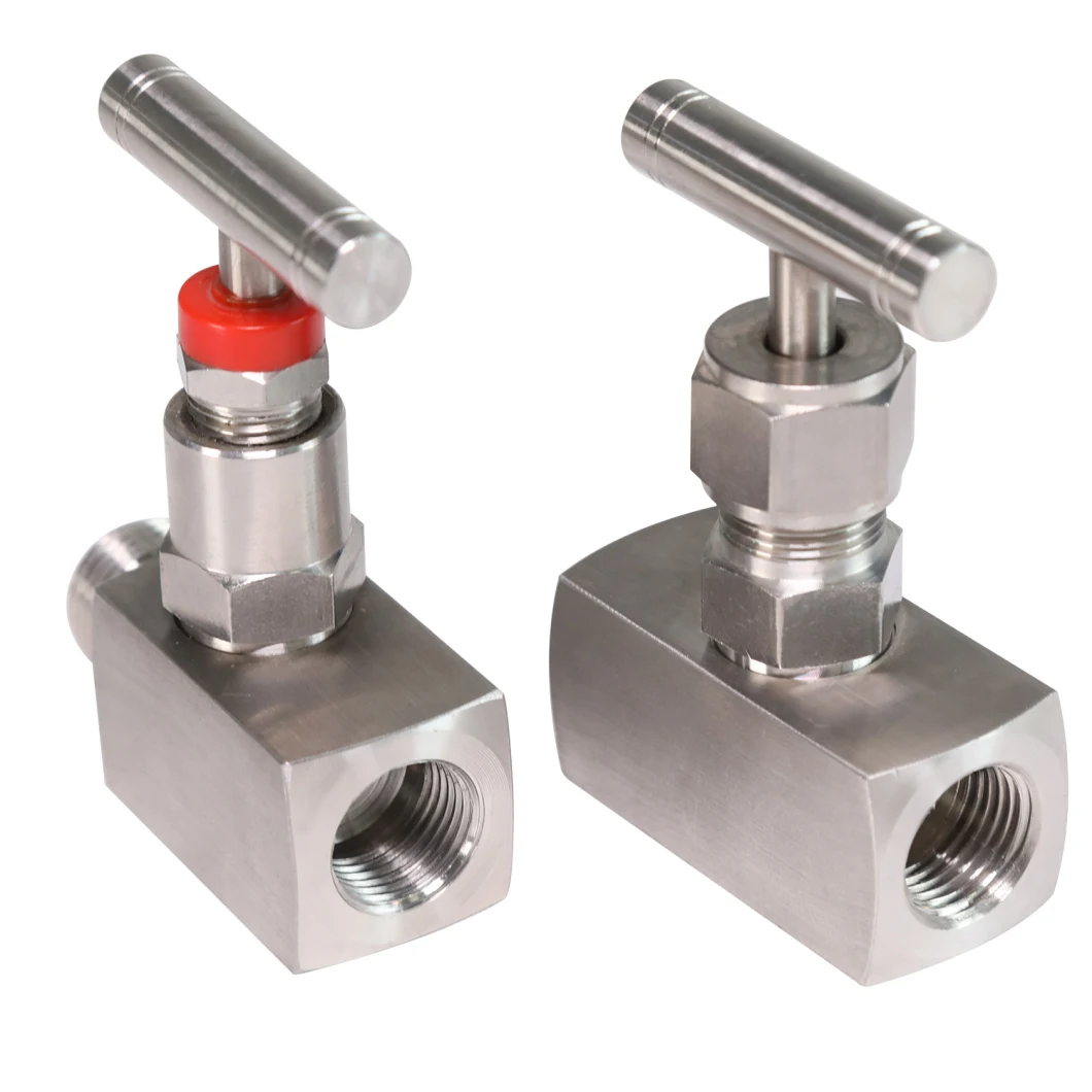 Forged Stainless Steel 316 Internal and External Screw Needle Valve