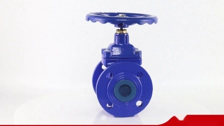 Metal Check Valves Prevent Backflow Ductile Pair of Clamping Check Valves