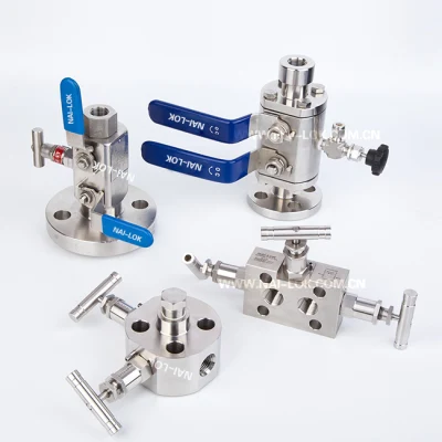Nai-Lok Dbb Valves Manufacturer F316 Body Double Block and Bleed Instrument Manifolds Class 2500