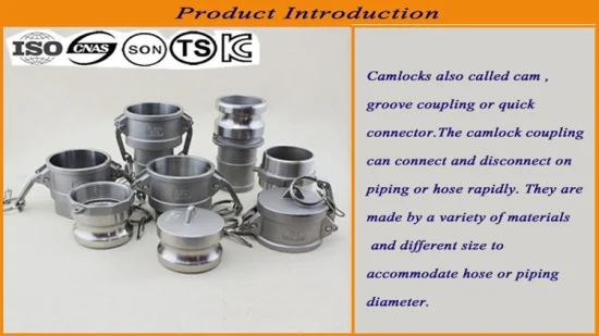 ANSI B16.5/ASTM A105 DIN/GOST/BS Carbon Steel/ Q235 / Stainless Steel FF RF Wn/So/Threaded/Plate/Socket Forged Flange China