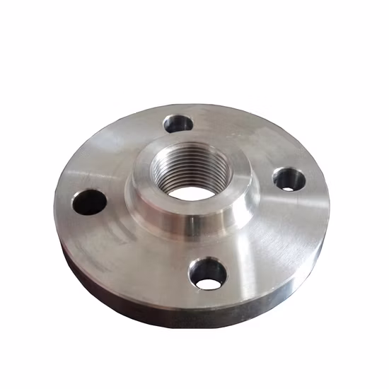 ANSI 304 304L 316 316L Stainless Steel Forged RF Blind Flange