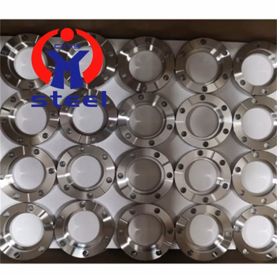 ANSI/DIN/JIS/BS/OEM Forging Stainless Steel Flanges