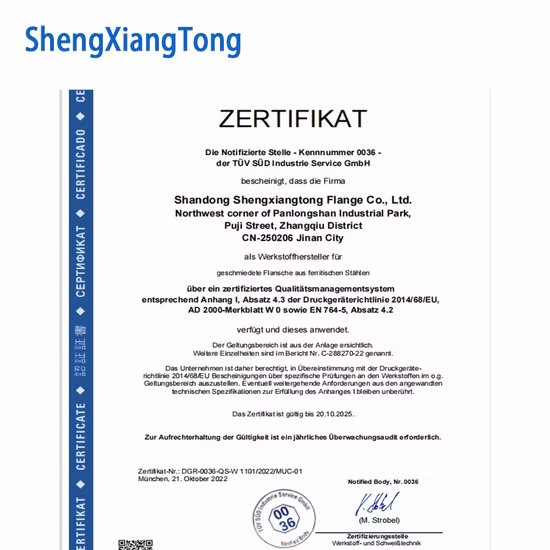 ANSI/DIN/En1092-1 Forged Carbon/Stainless Steel Pn10/16 Welding Neck/Blind/Slip on/Lap Joint/Flat Plate/Socket RF/FF Pipe Flanges