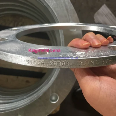 Hot DIP Galvanized ANSI DIN BS Flange Forged Steel Flange