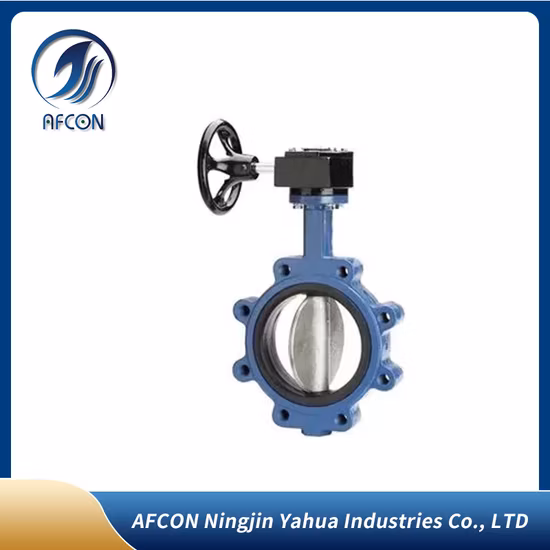 Wafer/Lug/Swing/Slot End Flanged Cast Iron/Stainless Steel Check Valve for Water Fire Protection