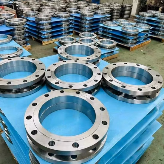 ANSI, DIN, En1092, JIS, BS Standard Forged Steel Flange