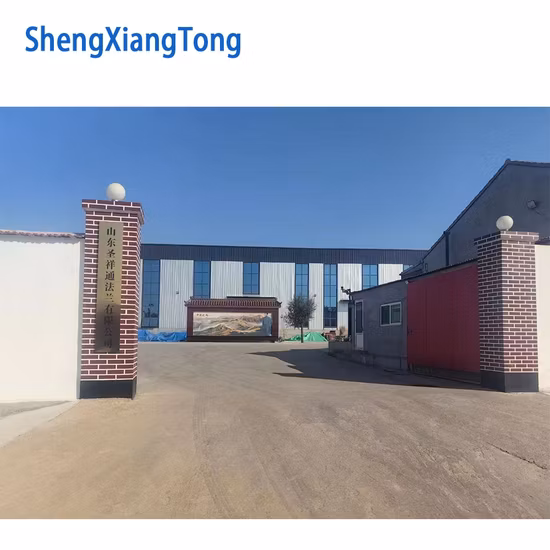 Flange Cylinder ASME/ANSI/DIN/En/GB/JIS/RF/FF/Rtj 150#-2500# Carbon Steel /Stainless Steel /Alloy Steel Forged Wn/So/Threaded/Plate/Socket/Blind Flange