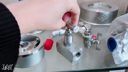 Carbon or Stainless Steel Forged or Cast Ball Valve